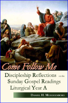 Come Follow Me Discipleship Reflections on the  Sunday Gospel Readings for Liturgical Year A / Daniel H Mueggenborg