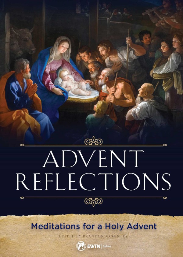 Advent Reflections Meditations for a Holy Advent / Brandon McGinley