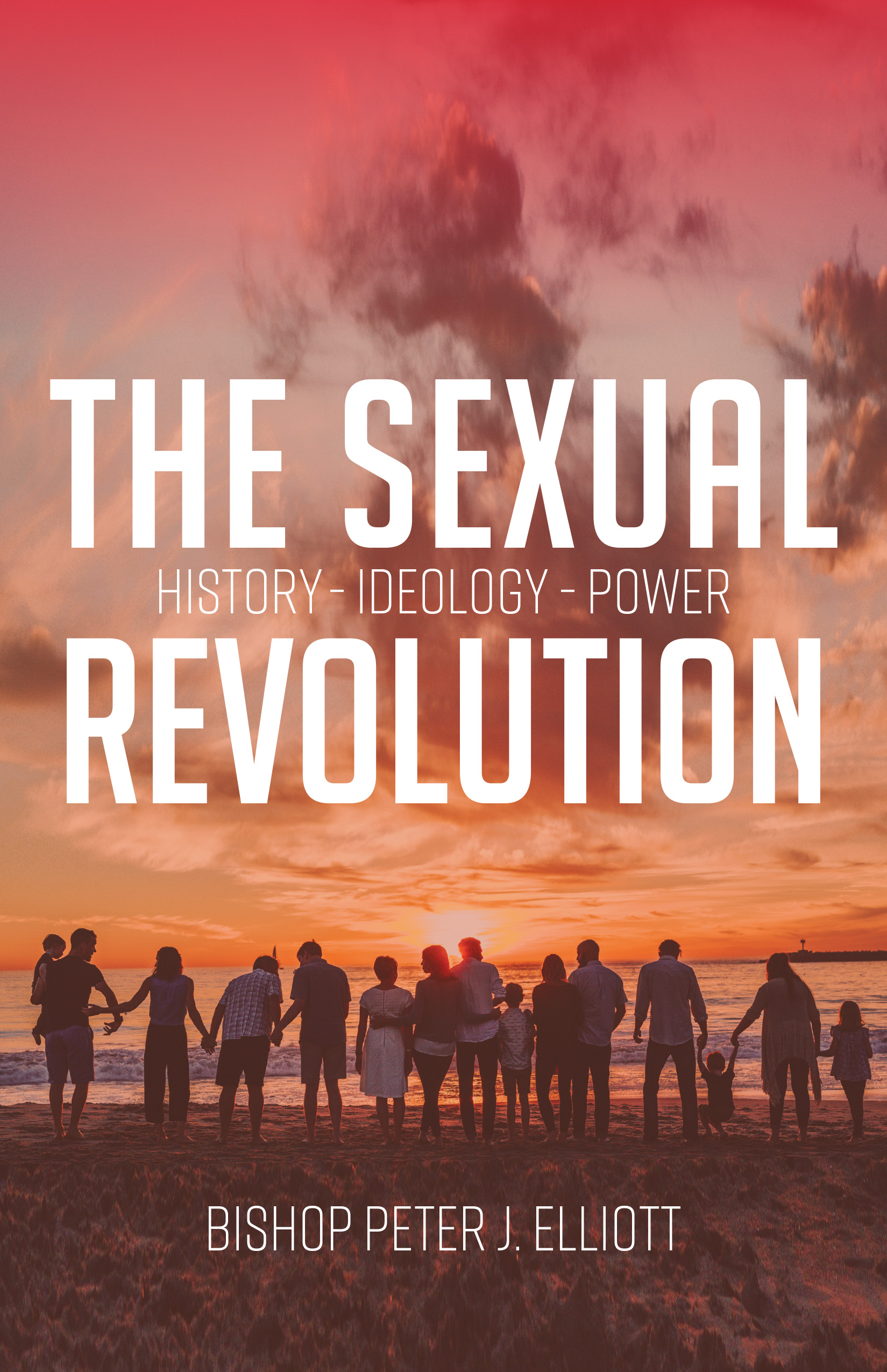The Sexual Revolution  History Ideology Power / Bishop Peter J Elliott