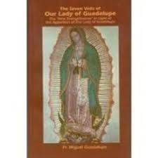 The Seven Veils of Our Lady Guadalupe / Miguel Guadalupe