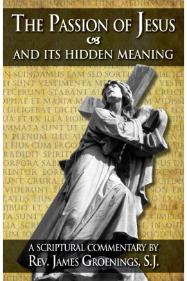 The Passion of Jesus and Its Hidden Meaning: A Scriptural Commentary on the Passion / Rev Fr James Groenings