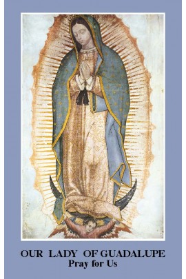 Our Lady of Guadalupe Prayer Card (Pack of 100) / Anonymous