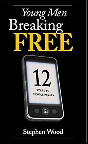 Young Men breaking Free - 12 Steps to Sexual Purity / Stephen Wood