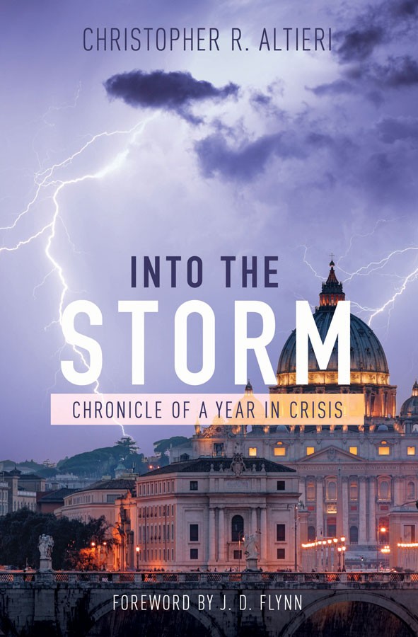 Into the Storm Chronicle of a Year in Crisis / Christopher R Altieri