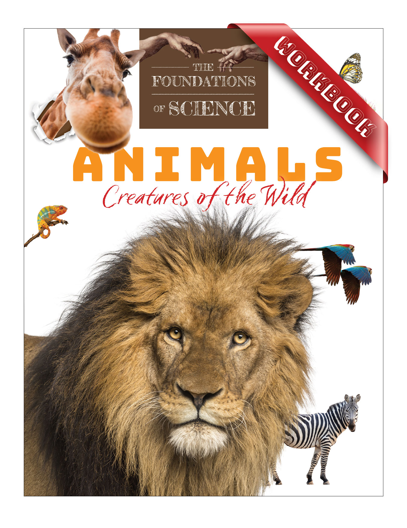 Foundations of Science Animals Creatures of the Wild Workbook / Timothy Polnaszek