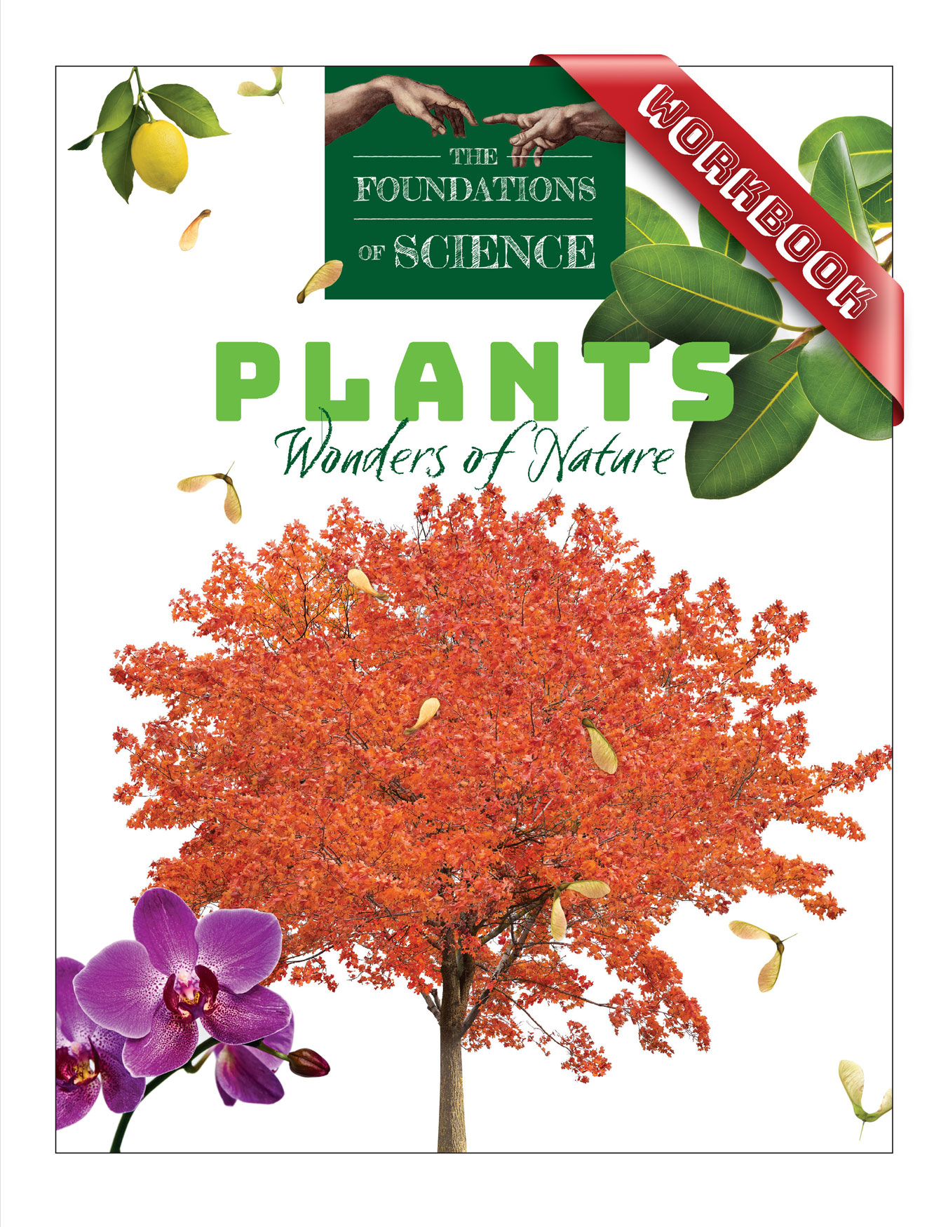 Plants Wonders of Nature Workbook