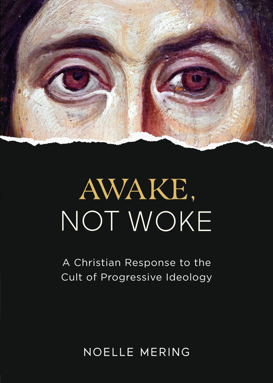 Awake Not Woke / Noelle Mering