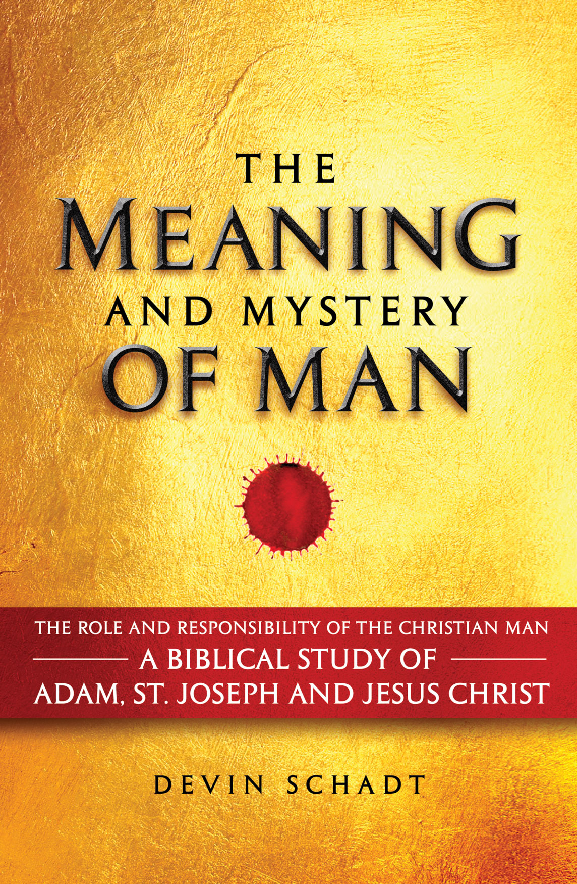 The Meaning and Mystery of Man / Devin Schadt