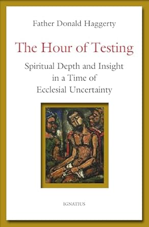 The Hour of Testing: Spiritual Depth and Insight in a Time of Ecclesial Uncertainty (PB) /  Fr. Donald Haggerty (Author)
