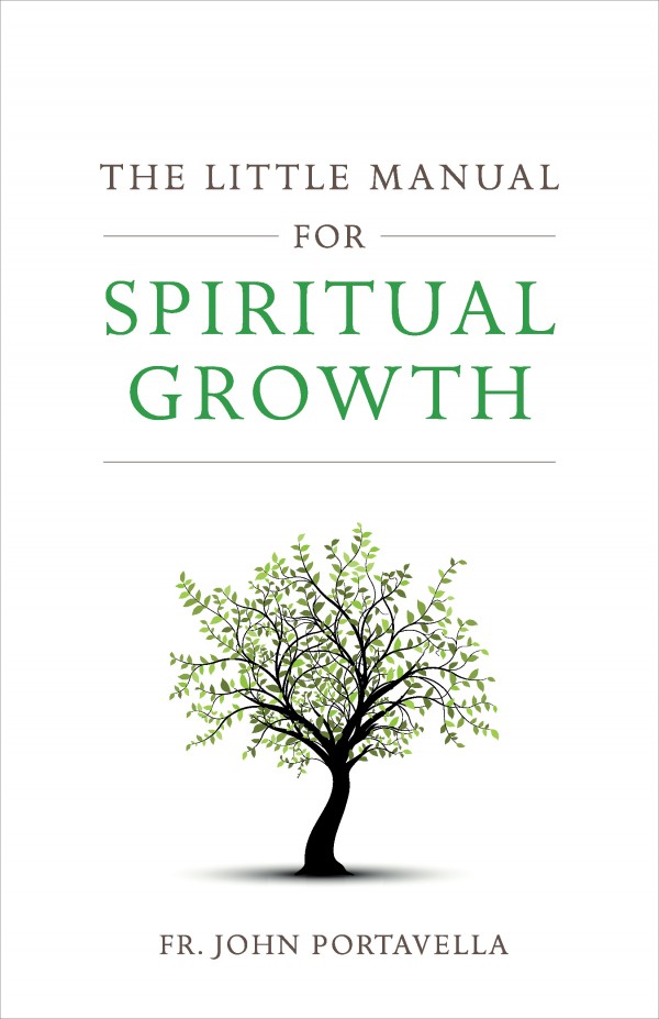 Little Manual for Spiritual Growth / Fr John Portavella