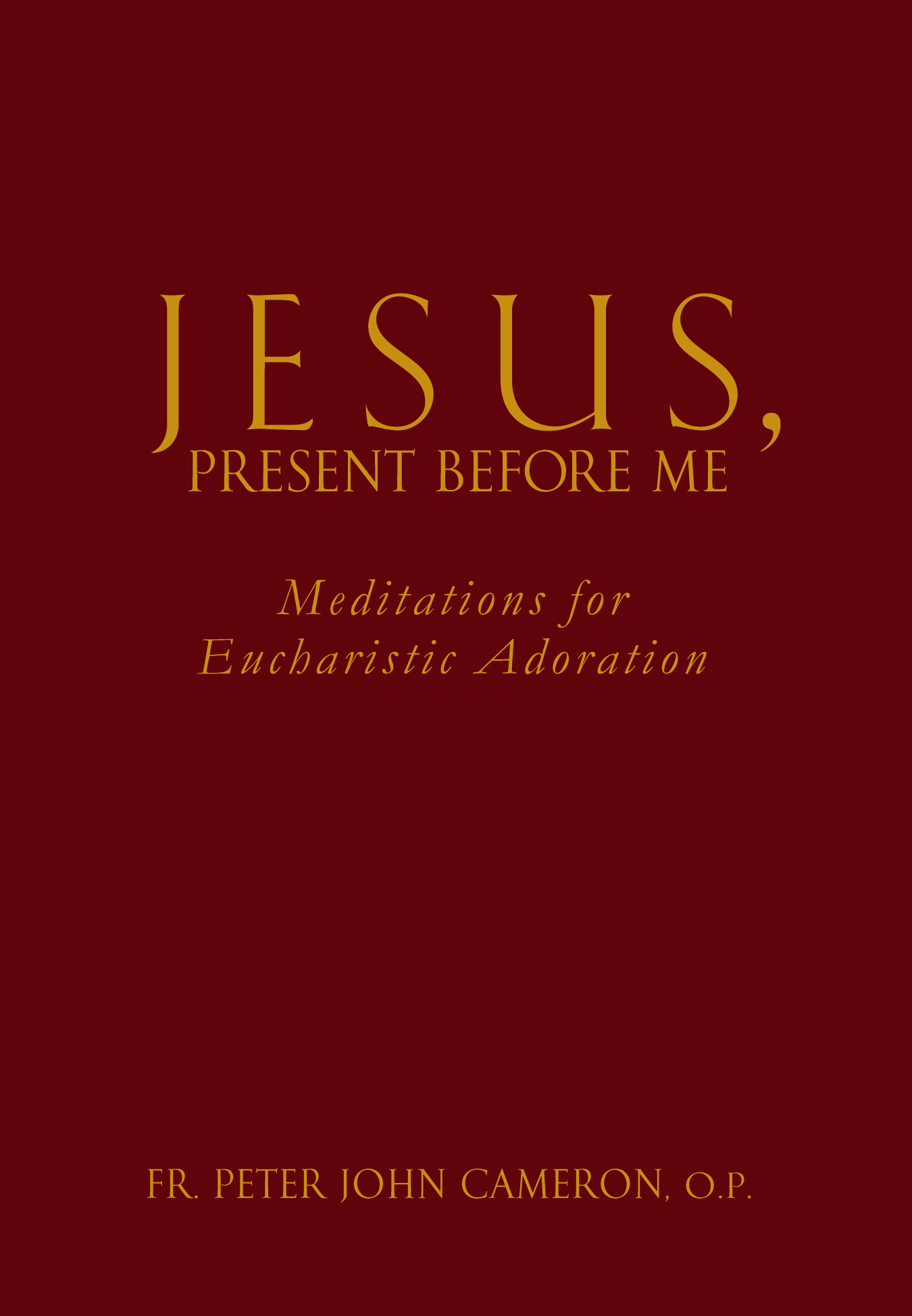 Jesus Present Before Me / Fr Peter John Cameron