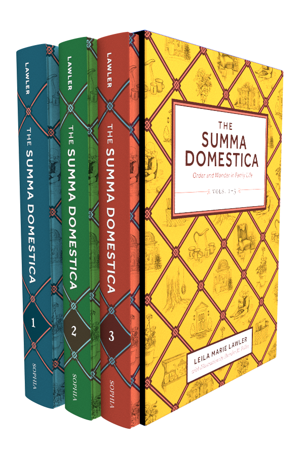 The Summa Domestica 3 Volume Set / Leila Lawler