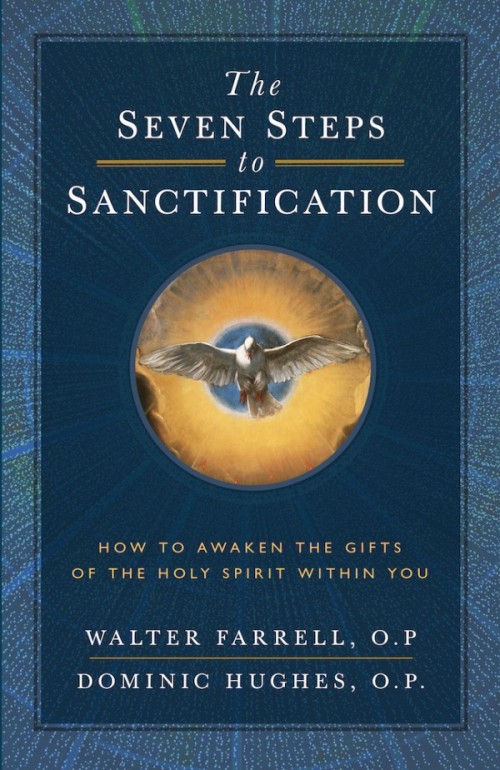 Seven Steps to Sanctification / Walter Farrell and Dominic Hughes