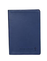 Journaling Through Gospels and Psalms, Catholic Edition (Navy)