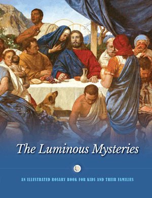 The Luminous Mysteries An Illustrated Rosary Book for Kids and Their Families /  Jerry Windley-Daoust & Mark Daoust