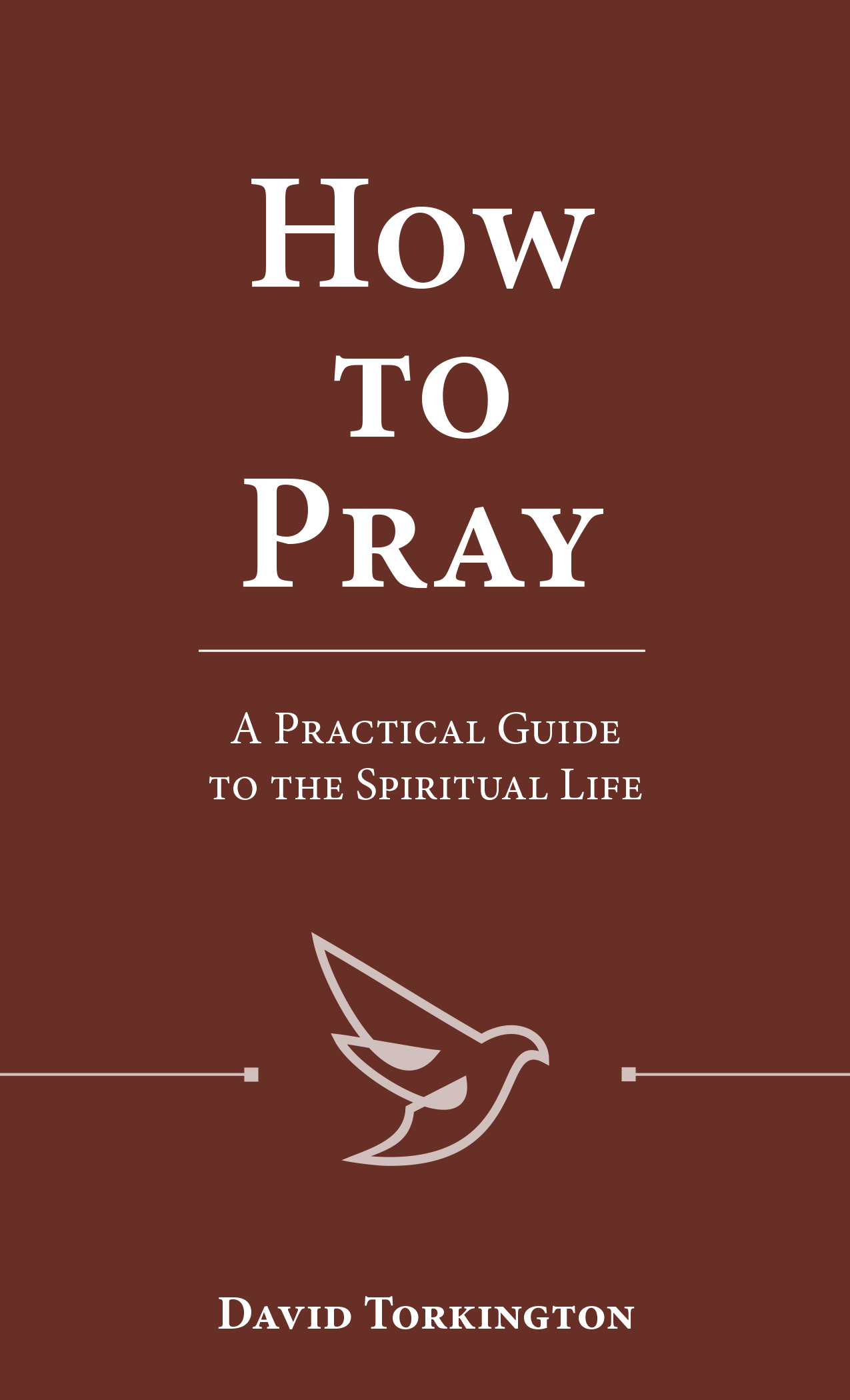 How to Pray A Practical Guide to the Spiritual Life / David Torkington