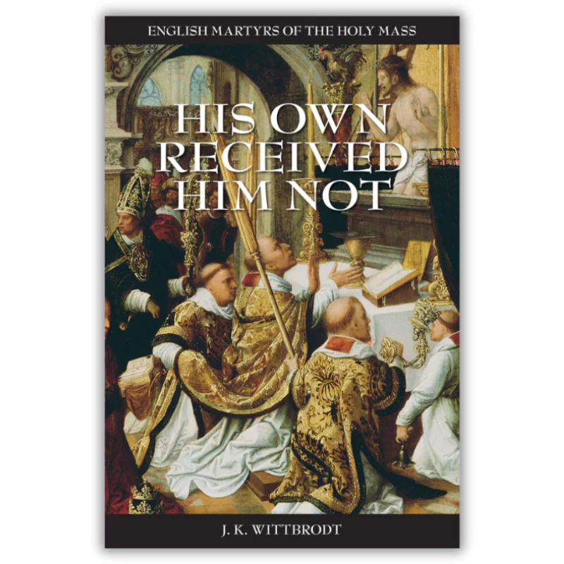 His Own Received Him Not (PB) / J.K. Wittbrodt