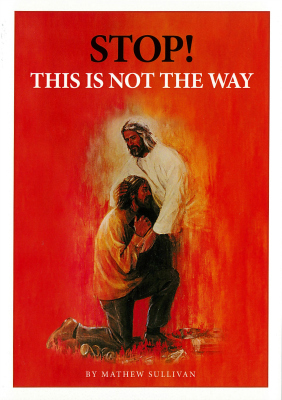 Stop This is Not The Way / Mathew Sullivan