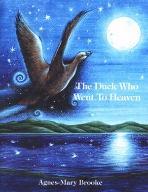 The Duck Who Went to Heaven / Amy Brooke